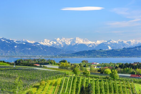 BODENSEE International