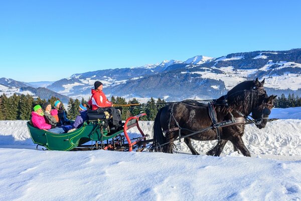 Pferdeschlittenfahrt Grossarltal