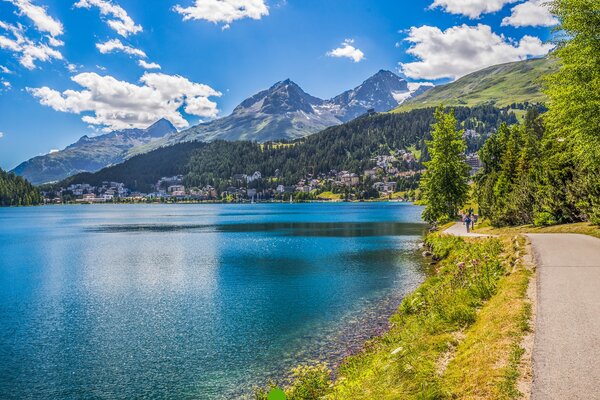 SCHWEIZER ALPEN